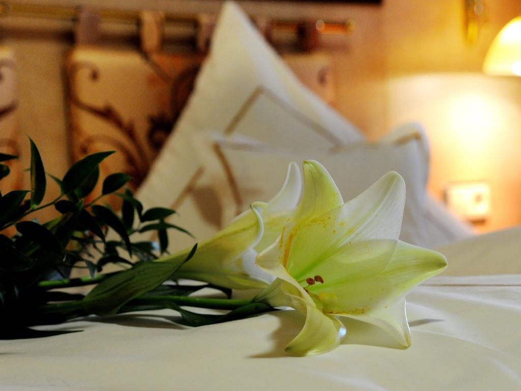Wellness- Und Ferienhotel Waldesruh 보덴마이스 객실 사진